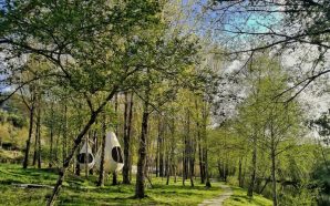 gotas Aqua Village massagens ritual mel Oliveira do Hospital