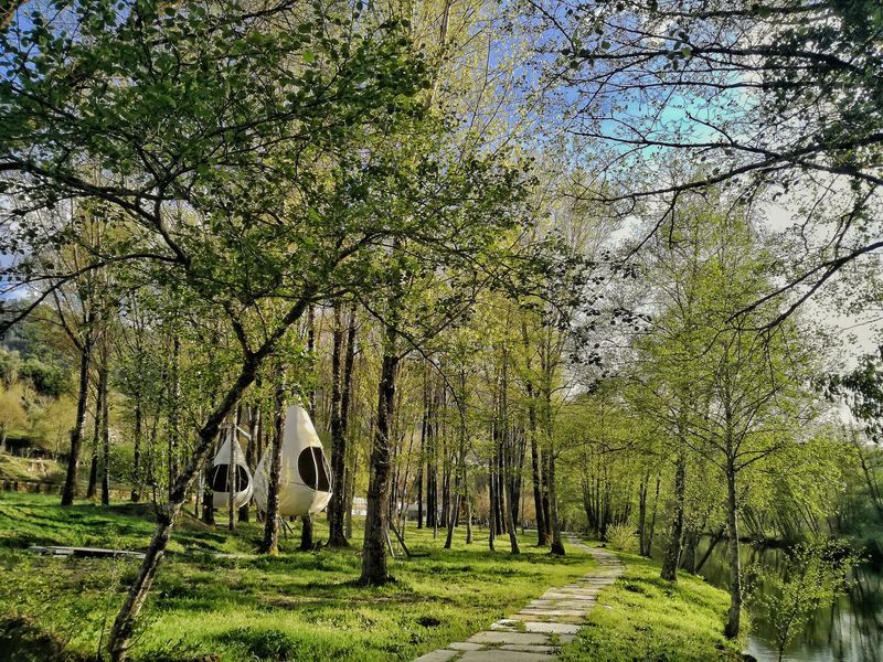 gotas Aqua Village massagens ritual mel Oliveira do Hospital