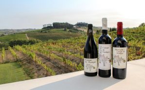 Casa Santos Lima vinhos trilogia Mercado de Campo de Ourique vinhos tinto branco rosé