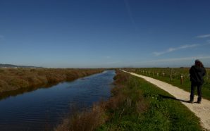 passeio nascer da Lua, passadiços Tejo Green Trekker