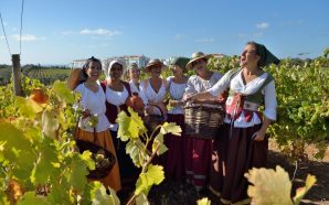 Comemorar as vindimas de Lisboa num arraial