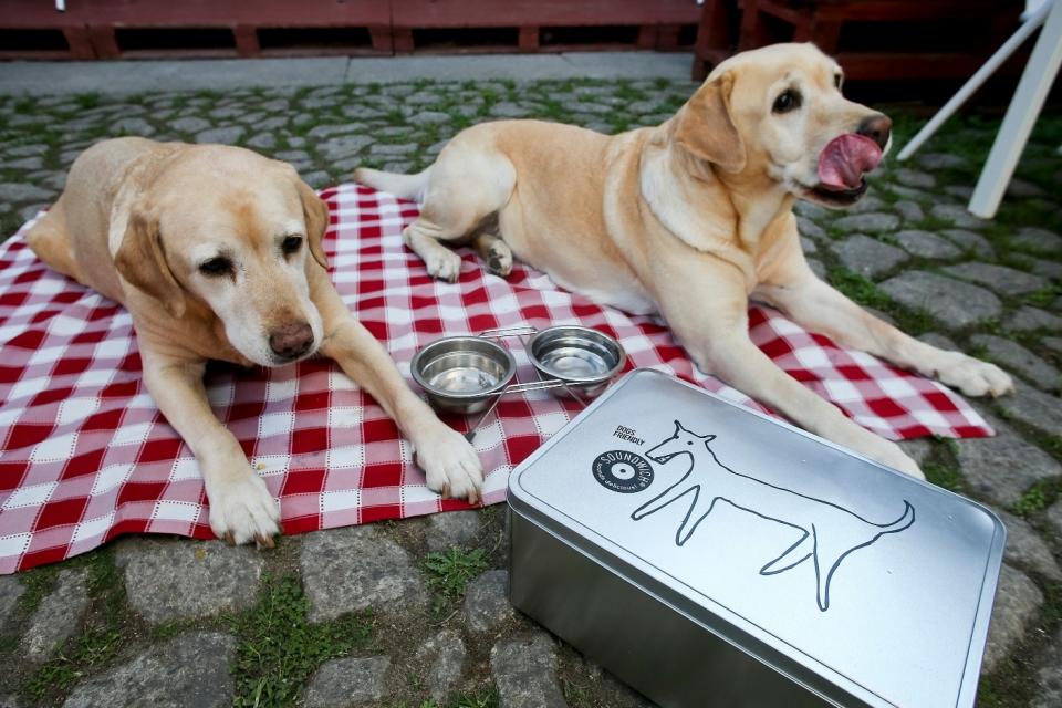 22650032_BINARY_GI25092015ADELINOMEIRELES013