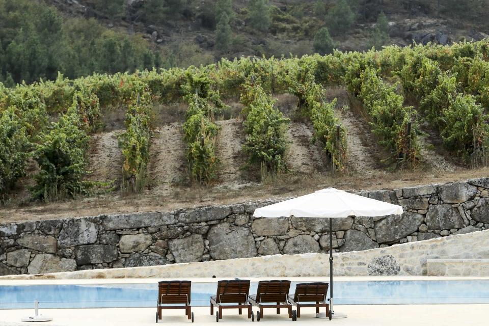 Quinta do Medronheiro