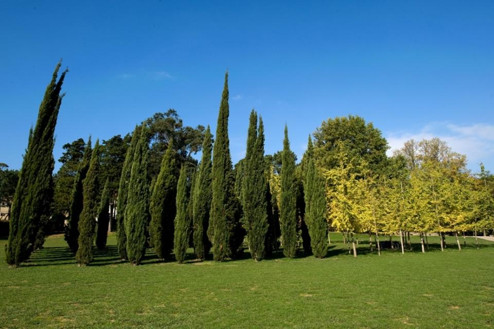 698845_A101-15535168