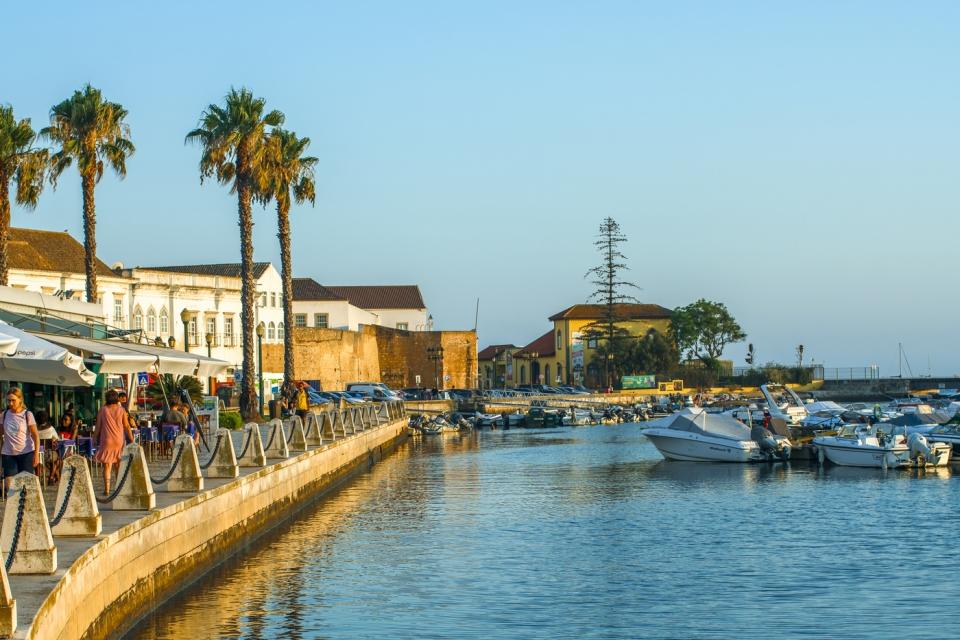 imageedit_1_7075682852