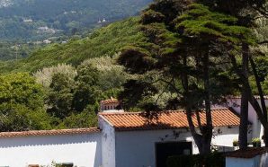 casas Sintra vinho de Colares vinhas vila