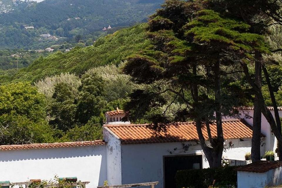 landscape sintra palace_MG_0320_resultado