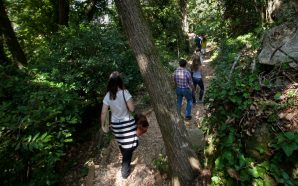 ar livre viseu caminhadas