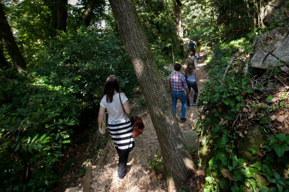 ar livre viseu caminhadas