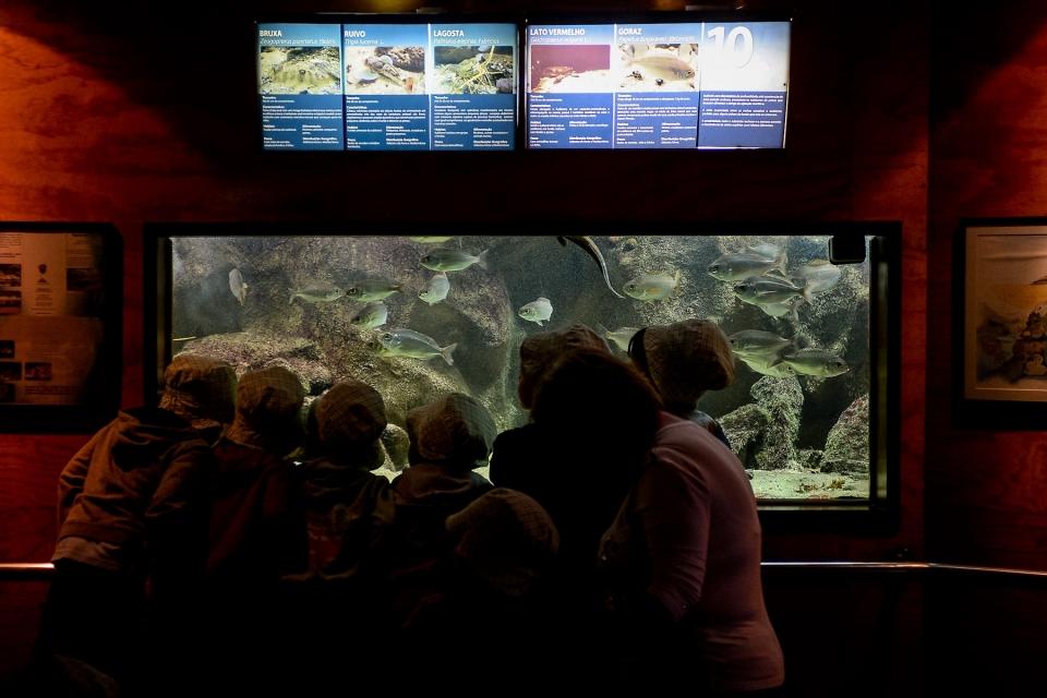 17641131_BINARY_GI01072014FabioPoco057