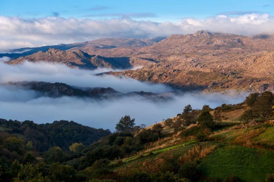 NM – Reportagem sobre Cabra Montês