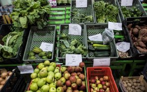 loja cooperativa ermesinde