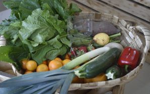 Gaia: nova loja só vende produtos biológicos certificados