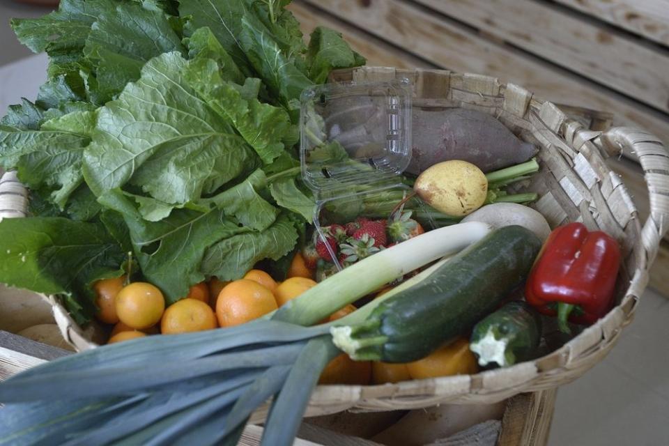 Loja Bio Habitus – produtos Biológicos