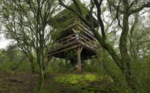 Monsanto biodiversidade Lisboa passeio pedestre