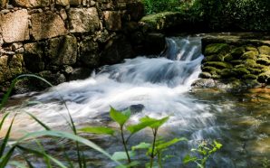 Descobrir o Parque Biológico de Gaia com as crianças