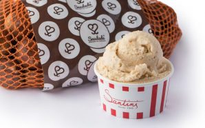 gelado de castanha, castanha Saudade Santini Frusantos outono