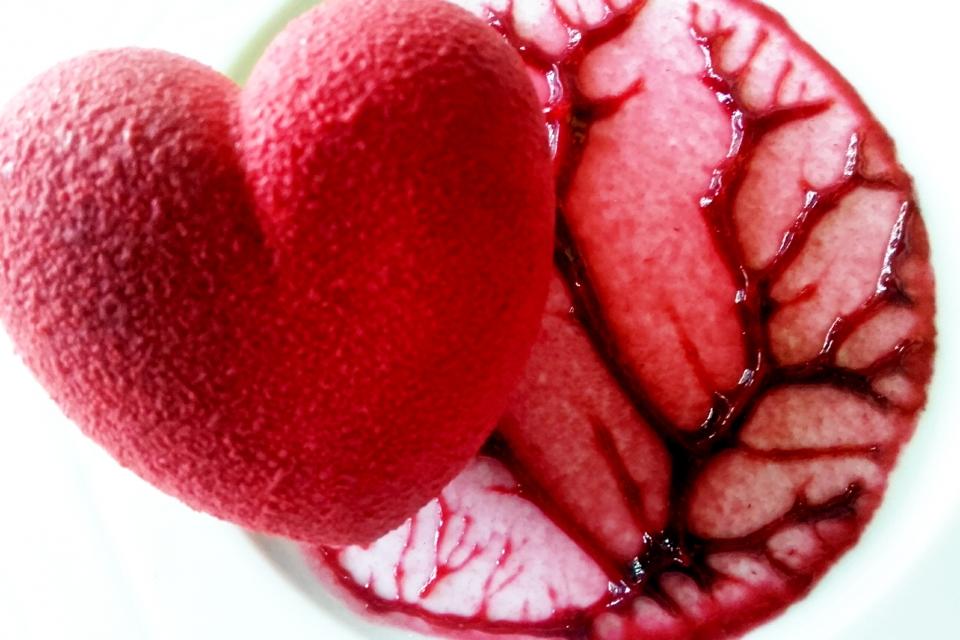 cop PHOTO_20171121_150237