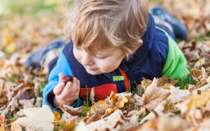 magusto crianças miúdos graúdos fim de semana crianças