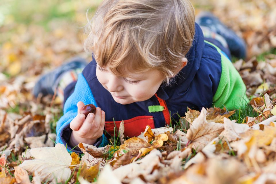 magusto crianças miúdos graúdos fim de semana crianças