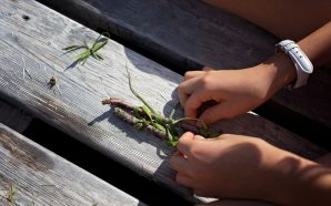 Cascais: uma casa de vidro no parque com oficinas para todos