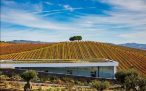 Três enoturismos a que voltávamos em 2018