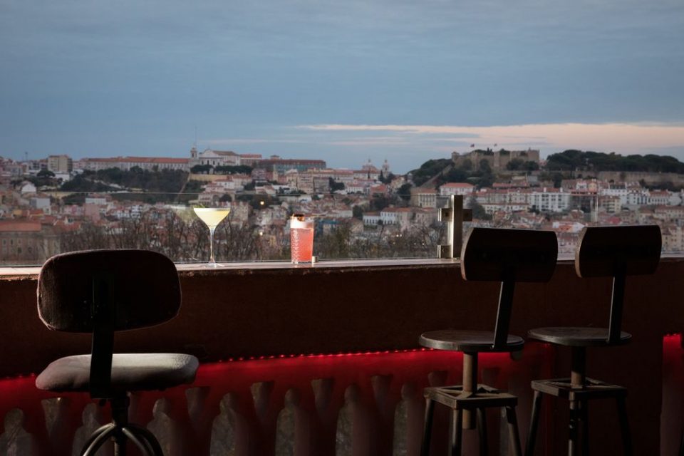 Imagem do dia: amor à primeira vista