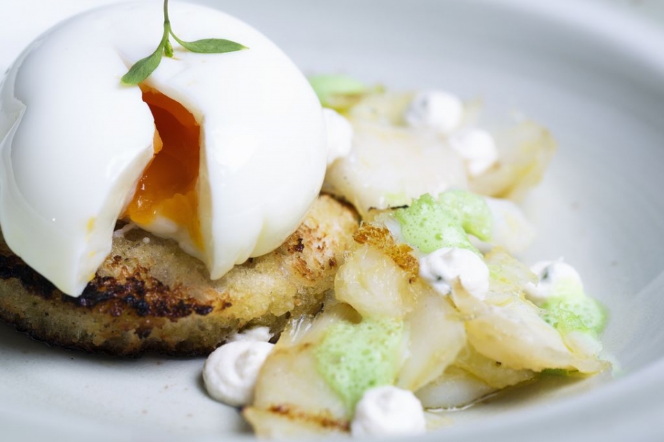 torricado de bacalhau com ovo escalfado, creme de alho e emulsão de salsa_resultado