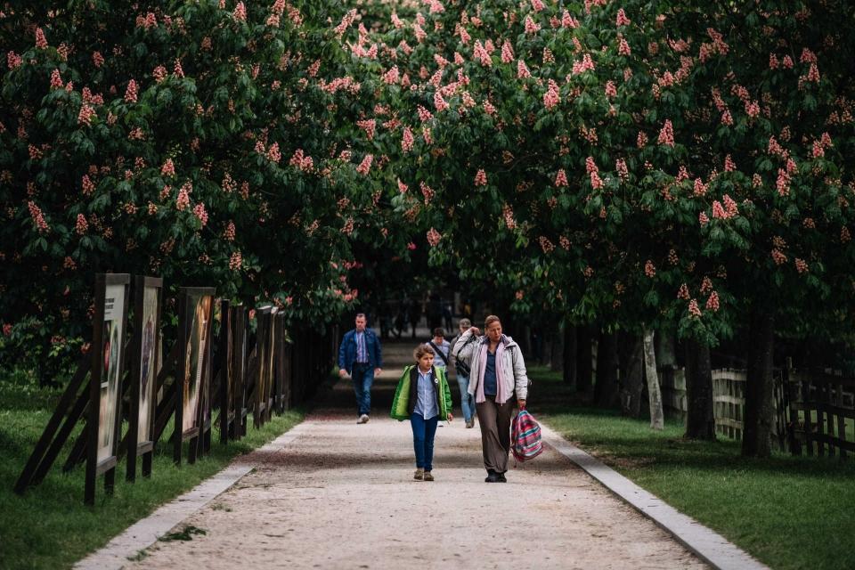 Bioblitz em Serralves – iniciativa contou com várias famílias.