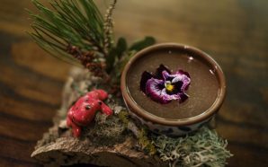 Há novos cocktails do Red Frog que levam 48 horas a fazer