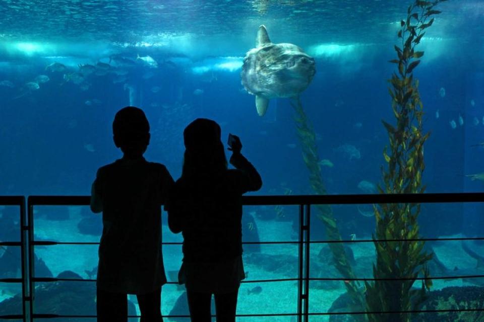 Oceanário de Lisboa