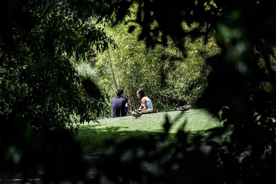 Jardins  da Gulbenkian
