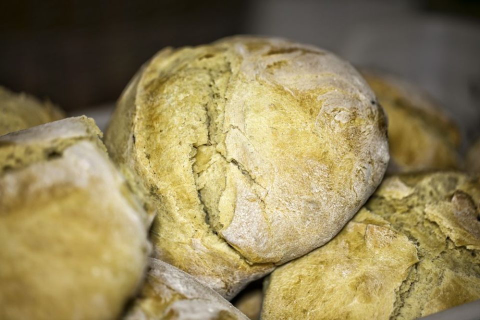 Rota das Padeiras de volta para homenagear pão de Ílhavo