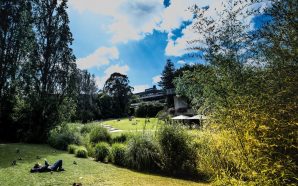 Lisboa: Há nova vida nesta rua junto à Gulbenkian