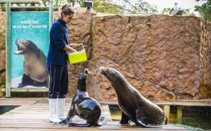 Visitas guiadas grátis e passeios noturnos no S. Valentim do Zoo de Lisboa