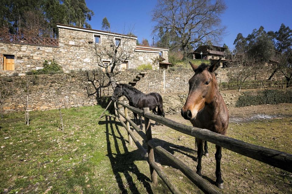 Quinta da Rabaçosa –  Turismo Rural