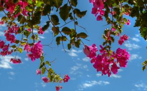 Portugal tem dois destinos entre os melhores da Europa para a Páscoa