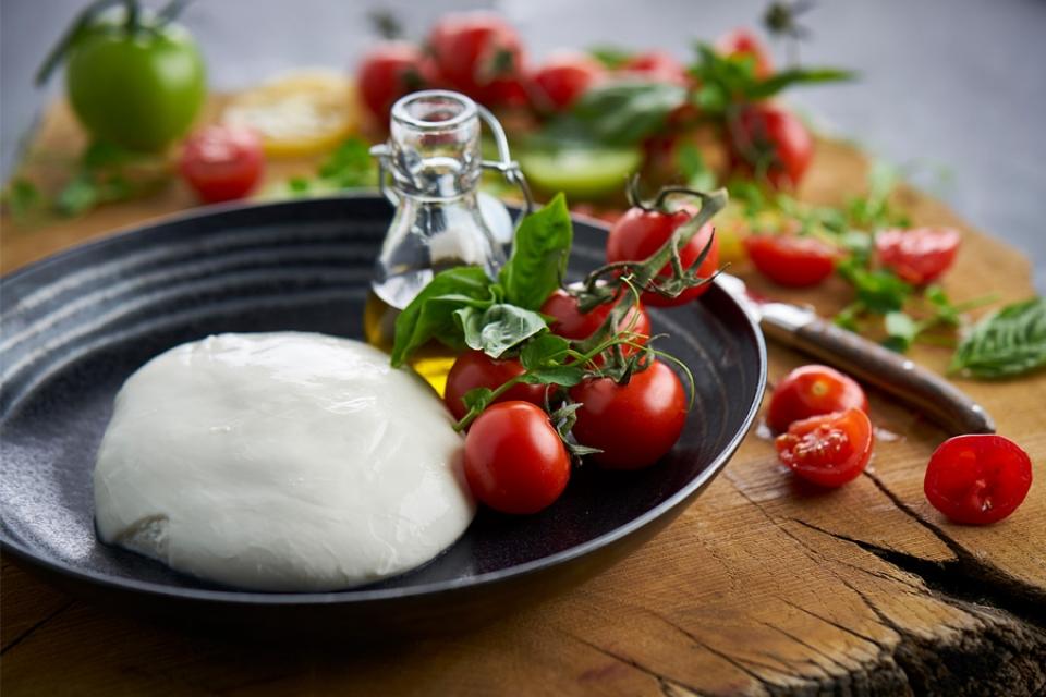gallery_food_burrata