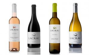 6 vinhos do Douro e da Bairrada a reter