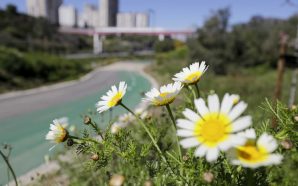 8 sugestões para sair de casa no fim de semana em Lisboa