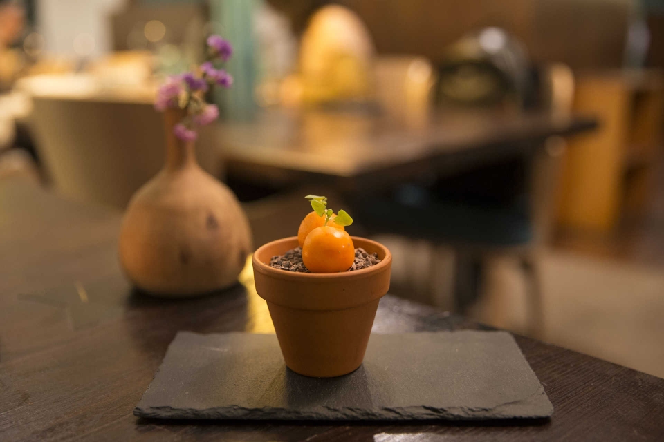 Apresentação da nova carta do DOP