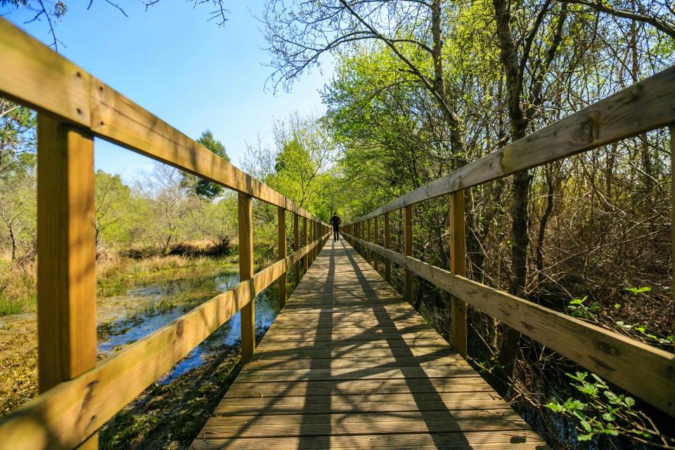 30969466_BINARY_GI05042018RF000000248