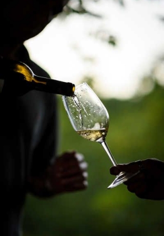 18558476_GI01092014PEDROGRANADEIRO000135_WEB_resultado-320x460_c