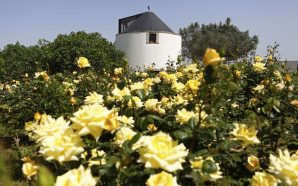 Dormir num moinho com vista para o Rio Tejo