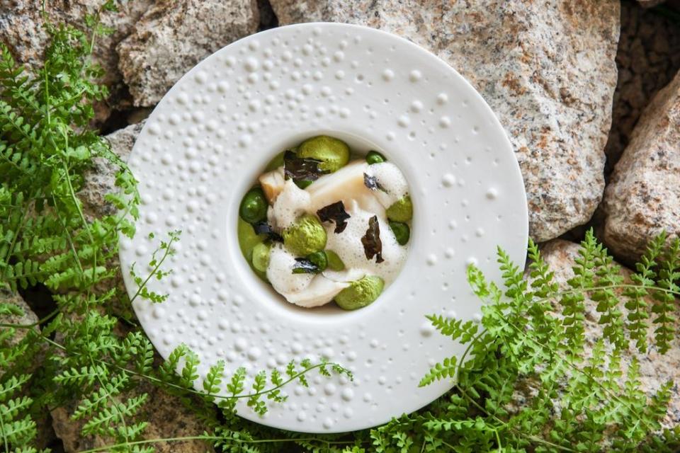 Bacalhau_Diogo Rocha_resultado