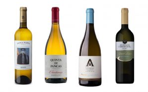 7 vinhos brilhantes para nos fazerem brilhar