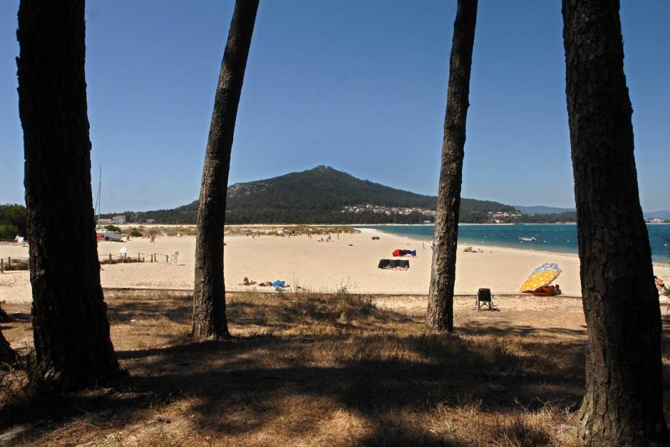 2450965_A101-2029878