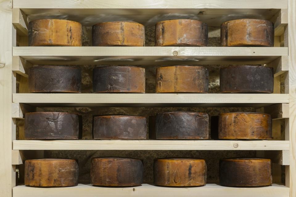 30995610_BINARY_GI08042018PEDROGRANADEIRO_000031_Easy-Resize.com