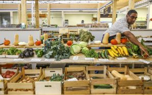 Primeiro mercado municipal biológico já abriu em Lisboa