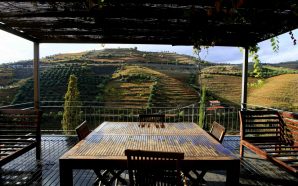 Douro: Já há uma rota de enoturismo que passa por 16 quintas